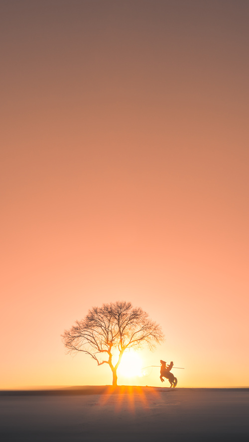 开云官网-约基奇式统治，当活塞用魔法打败肌肉，山西的钢铁防线如何融化？