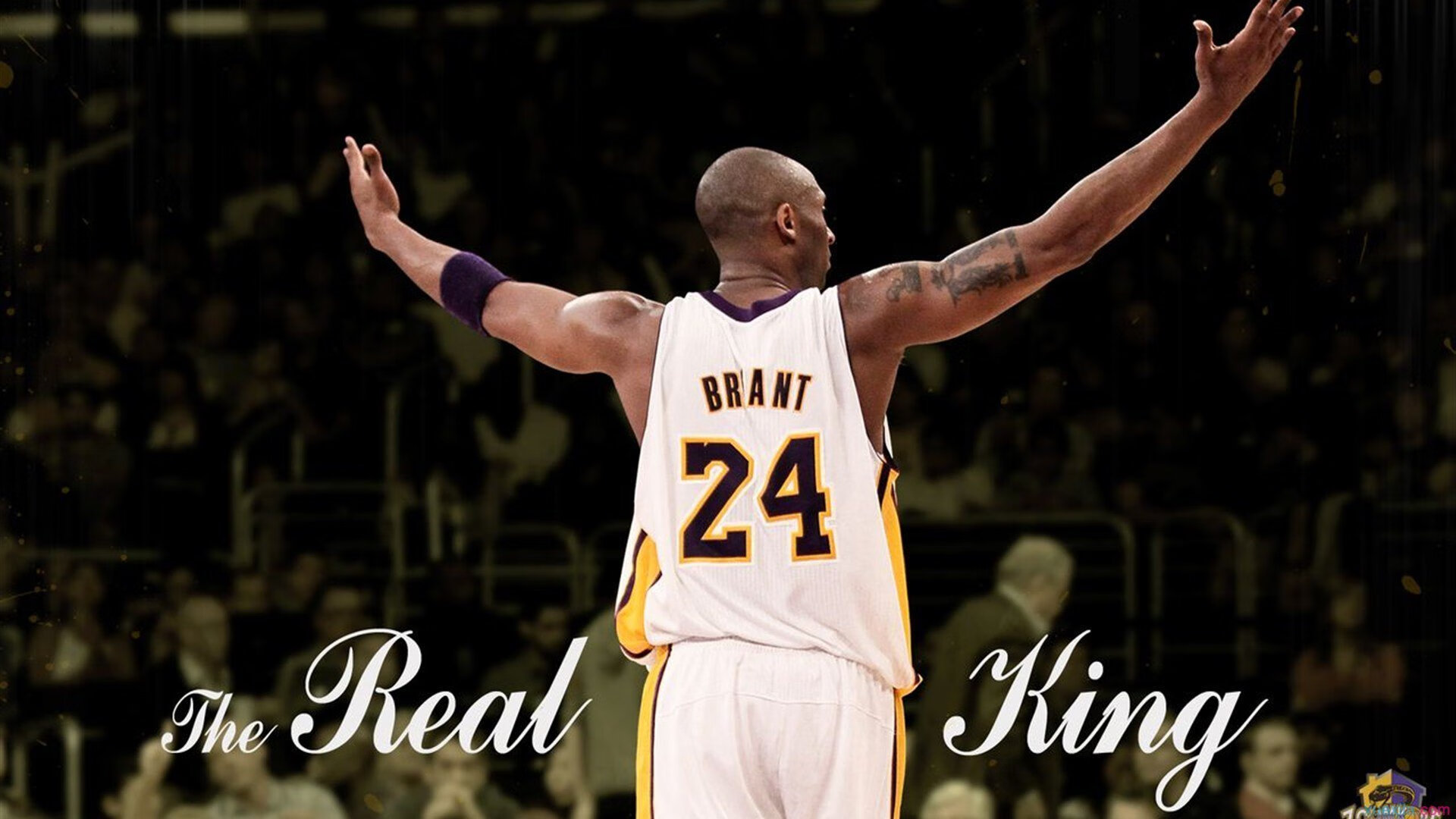 开云体育app-小城英雄，武切维奇在抢七夜的孤胆传说